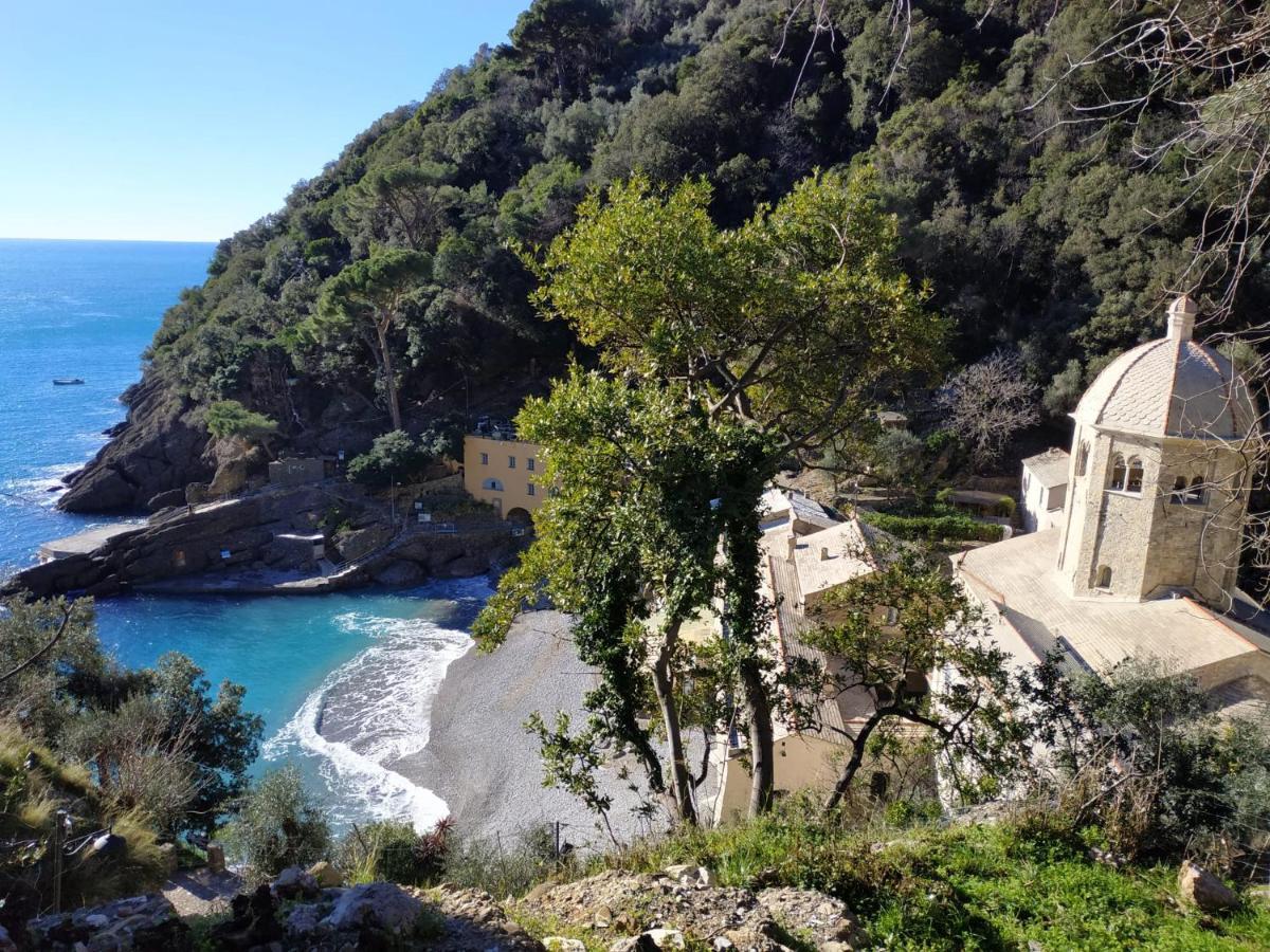 Casaviva - Magical Bilo In Camogli Apartment Екстериор снимка